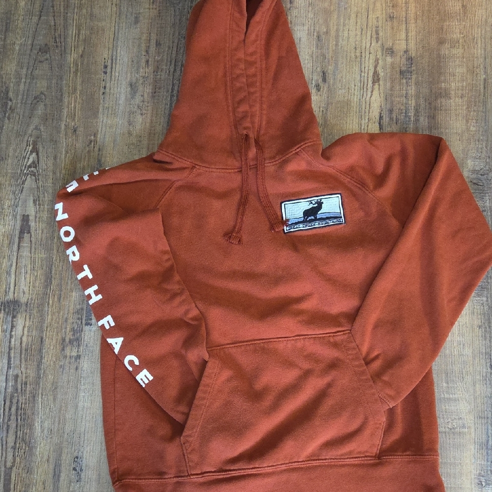 The North Face Burnt Orange Hoodie